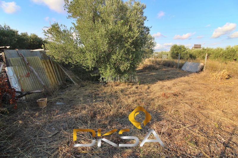Foto 8ab372b2-6c2d-4797-9394-fe5d34cfde29. Finca rústica a El Pilar Villarreal / Vila - real