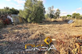 Finca rústica  Calle moli nou. Terreno rústico con 429m2 en la calle molí nou, vilareal