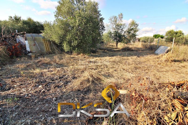 Foto b3681285-5745-4228-990e-1b3097eaf143. Finca rústica a El Pilar Villarreal / Vila - real