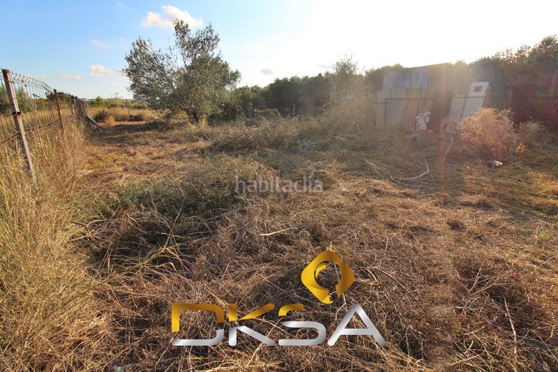 Foto f543b0ee-9ee4-4931-a126-e4256c231785. Finca rústica a El Pilar Villarreal / Vila - real