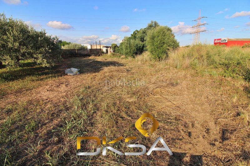 Foto 15a40432-8a3d-4a0c-aa8e-5709ef25905f. Finca rústica a El Pilar Villarreal / Vila - real
