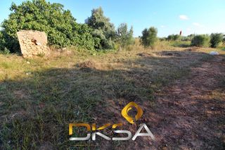 Finca rústica  Calle moli nou. Terreno rústico con 242m2 en la calle molí nou de vilareal