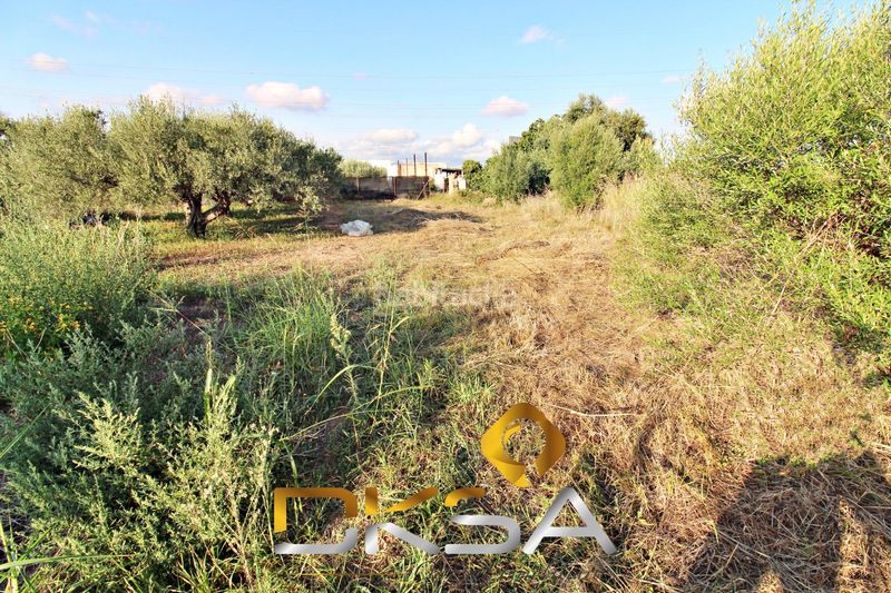 Foto ed87c2d0-f5fc-4afe-bf8b-e6d424135b3f. Finca rústica a El Pilar Villarreal / Vila - real