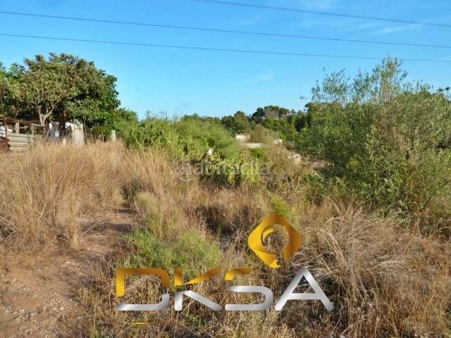 Foto 506c60b9-3675-4a58-89cd-6e355e243cec. Finca rústica a Santa Quiteria - Les Boqueres Almazora / Almassora