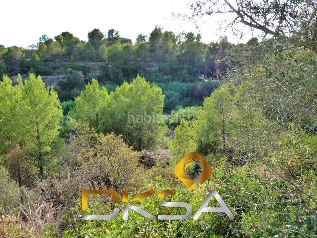 Foto a93f3c35-a83b-4d89-aab6-c2d56cc22d53. Finca rústica a Santa Quiteria - Les Boqueres Almazora / Almassora