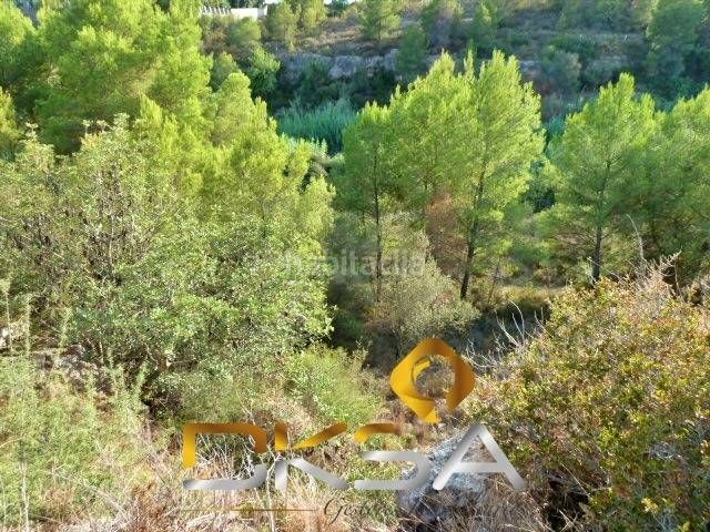 Foto c85ef9d4-bdec-4e6e-aa74-d3869dcc77a0. Finca rústica a Santa Quiteria - Les Boqueres Almazora / Almassora
