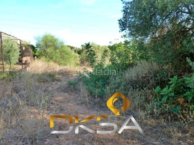 Foto e9affd47-1063-4b4f-9b49-c9d1babeb7da. Finca rústica a Santa Quiteria - Les Boqueres Almazora / Almassora