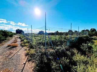 Propriété à Avenida Alemania-Italia. Terreno en venta en vila-real