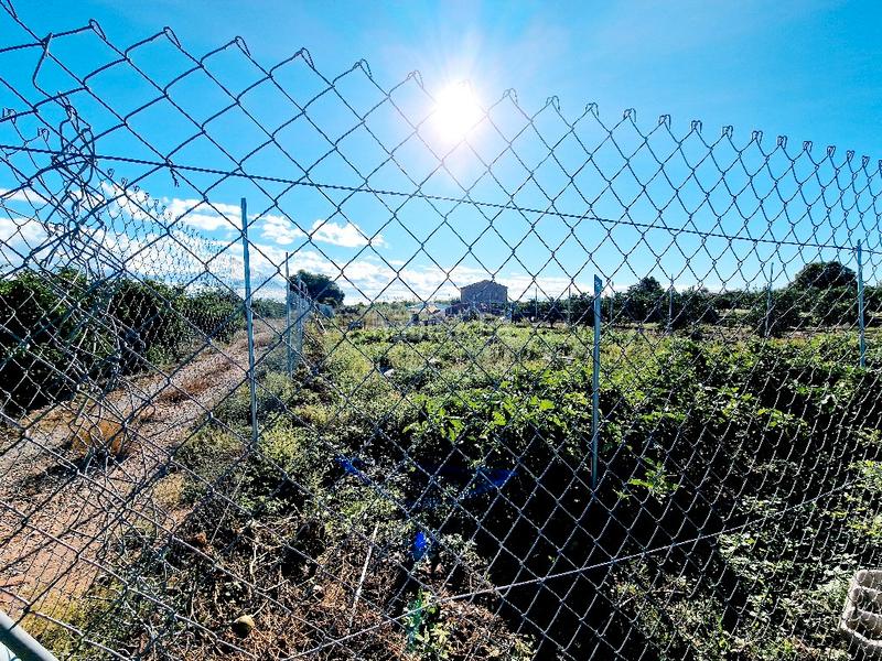 Foto f9eb8800-4a2f-4ca4-be8c-27150628f884. Finca rústica terreno en venta en vila-real en Avenida Alemania-Italia Villarreal / Vila - real