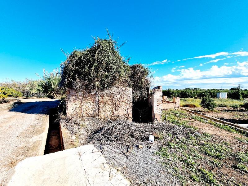 Foto fecb8399-98b1-447a-a7c9-94610f6639ff. Finca rústica terreno en venta en vila-real en Avenida Alemania-Italia Villarreal / Vila - real