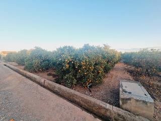 Finca rústica en Piscinas. Terreno en venta en vila-real