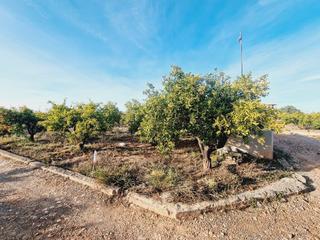 Finca rústica en Avenida Alemania-Italia. Terreno en venta en vila-real