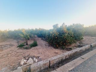 Finca rústica a Piscinas. Terreno en venta en vila-real