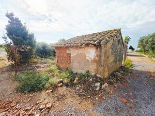 Finca rústica a Avenida Alemania-Italia. Terreno en venta en vila-real