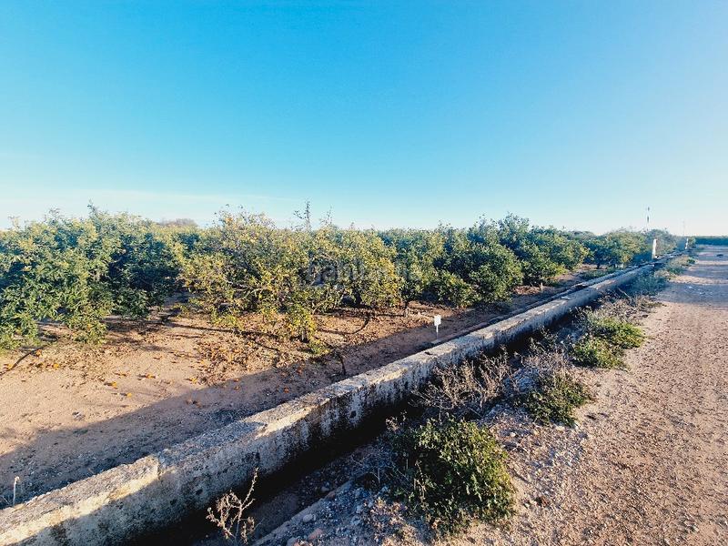 Foto 15b92d32-8d92-4d80-900b-5ffc2a2ca9e3. Finca rústica a Avenida Alemania-Italia Villarreal / Vila - real