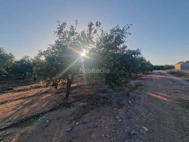 Foto 7d531c6c-6f0d-4147-9756-7c731f06e58e. Finca rústica a Avenida Alemania-Italia Villarreal / Vila - real
