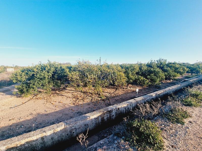 Foto 7f43d073-b473-4c93-bcbc-54db17702021. Finca rústica a Avenida Alemania-Italia Villarreal / Vila - real