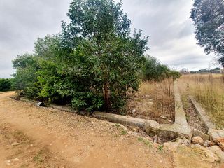 Finca rústica en Avenida Alemania-Italia. Terreno en venta en partida pinella vila-real