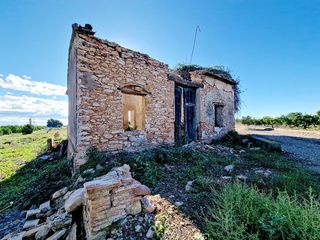 Finca rústica en Avenida Alemania-Italia. Terreno en venta en vila-real