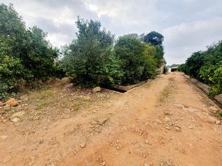 Finca rústica a Avenida Alemania-Italia. Terreno en venta en partida pinella vila-real