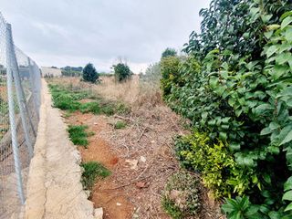 Finca rústica en Avenida Alemania-Italia. Terreno en venta en partida pinella vila-real