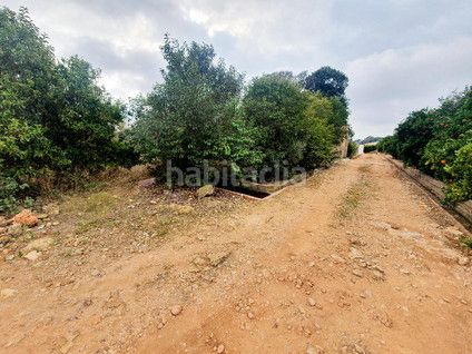Foto fc3a3745-0361-4cda-908a-6df3141f2a3f. Finca rústica a Avenida Alemania-Italia Villarreal / Vila - real