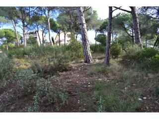 Finca rústica a Castellnou-Can Mir-Can Solà. Con muchas posibilidades