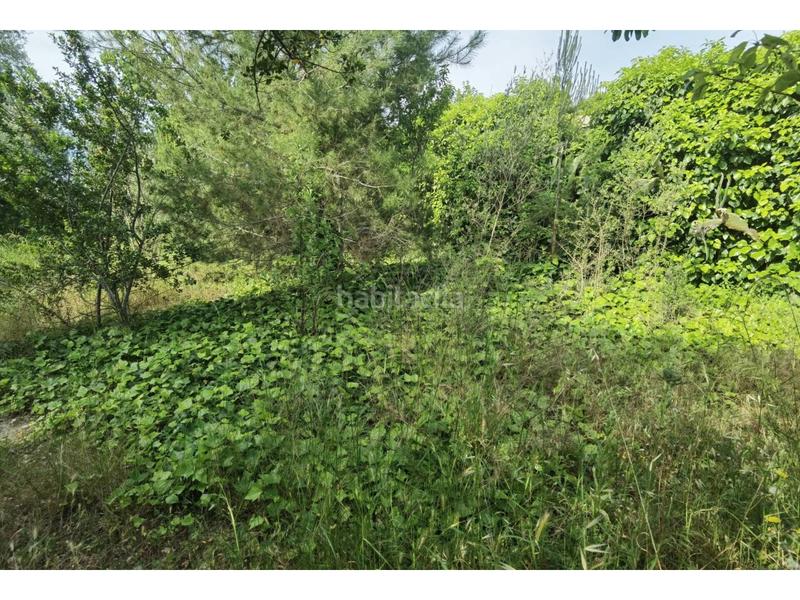 Foto 850a3efc-d7b2-4b50-b2d5-38805b8e918a. Terreno residenziale in Castellnou-Can Mir-Can Solà Rubí