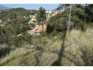 Terreno residencial en Can Palet de Vista Alegre. Con muchas posibilidades