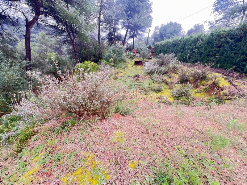 Foto 14fa9dfb-f65b-4b47-a5c0-9160c68b1077. Residential plot in Rellinars