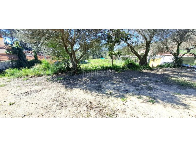 Foto 8f5322ac-c41d-4d13-8d2a-13bbd6786a6f. Finca rústica venta de terreno zona Sant Muç en Sant Muç Rubí