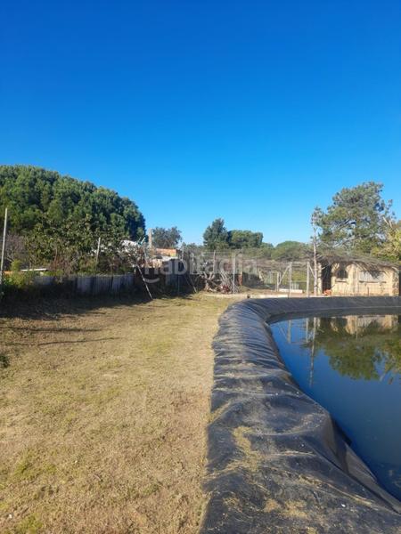 Foto 65e50dfc-eba1-4fad-8d57-60bdb17a685f. Casa  de campo muy cercana a la ciudad en Lepe