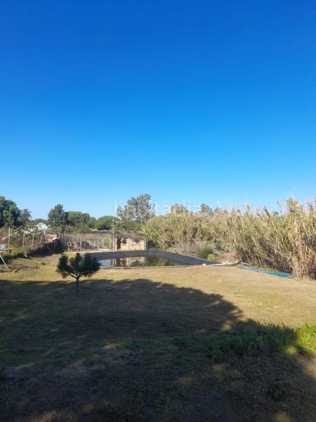 Foto 66087892-9e29-4502-9c29-f1a50896993c. Casa  de campo muy cercana a la ciudad en Lepe