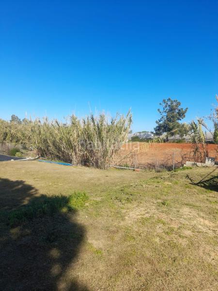 Foto 66542394-c50a-4830-80e6-02a817dc7f11. Casa  de campo muy cercana a la ciudad en Lepe