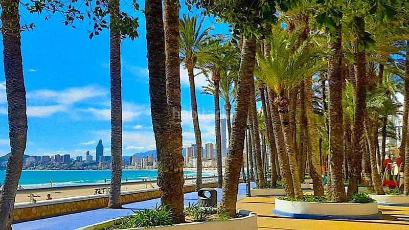 Foto e959b3c1-3eb5-4859-a885-5fbde6b0d194. Alquiler dúplex precioso apartamento dúplex en pleno centro en Benidorm