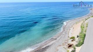 Pis  Fabrica clotilde