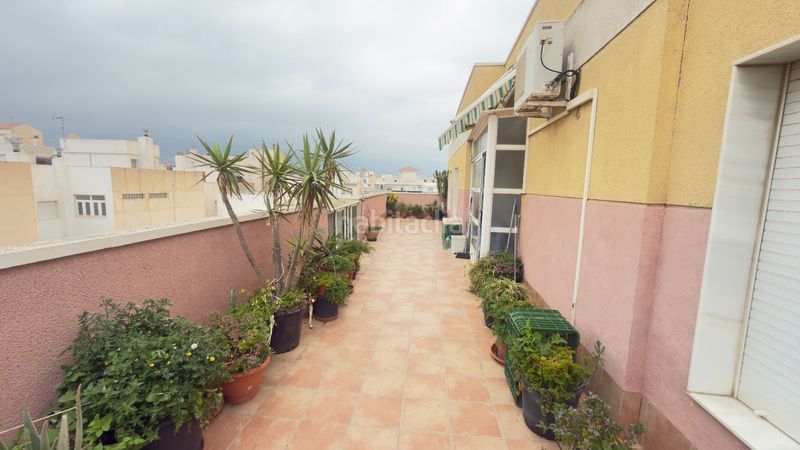Foto c0c96606-e2bb-4069-9771-bb55f547f0dc. Dachwohnung in Ejido centro Ejido (El)