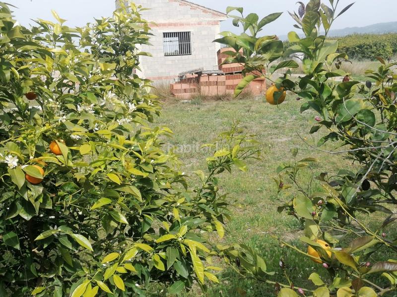 Foto c4c9807e-18fa-45c2-9925-9aef444546dc. Masia a Librilla