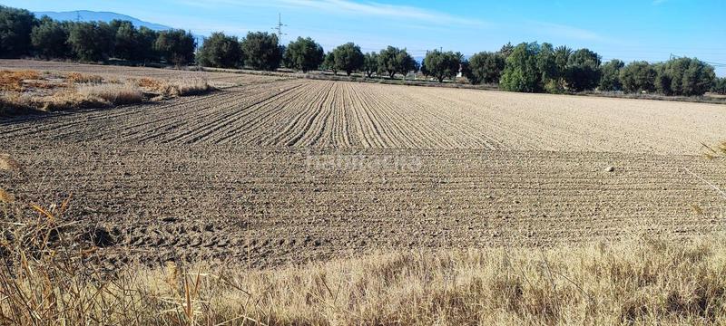 Foto 408f7101-b335-44de-87f8-2053454d9704. Residential plot in El Palmar Murcia