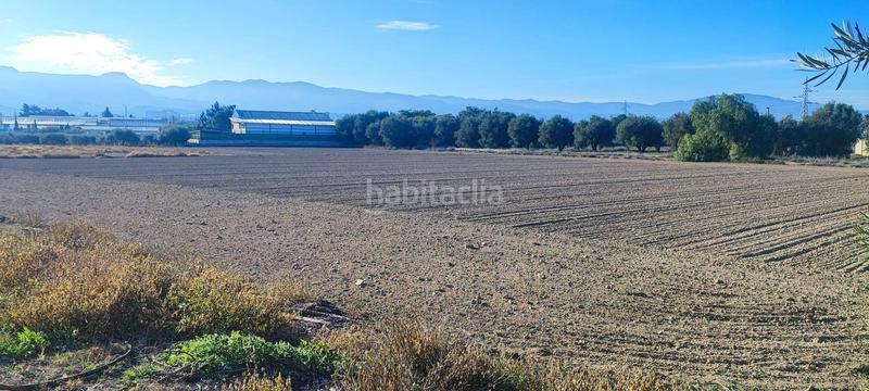 Foto 70d58580-4461-40da-9d27-86399aa8572b. Residential plot in El Palmar Murcia