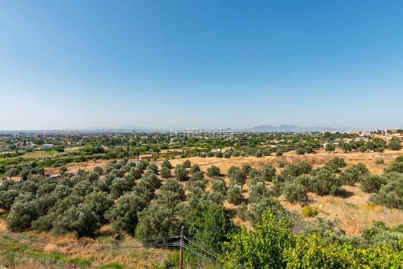 Foto 09098c89-f3c9-4b2b-83a5-3f5d6f4a6dd0. Casa amb aparcament a Algezares Murcia