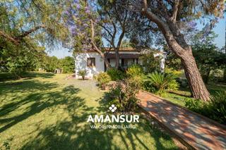 Chalet en Cartaya. Finca de cartaya con casa independiente jardn y piscina