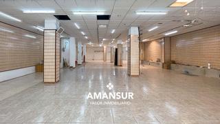 Business premise in Centro