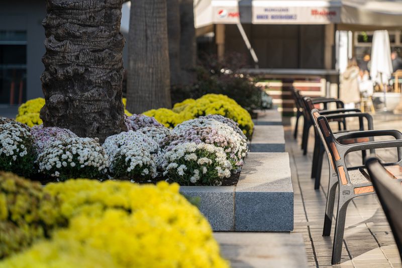 Foto 9a136b33-c2d7-4e63-b332-65e297a2cd37. Pis a Centro Huelva