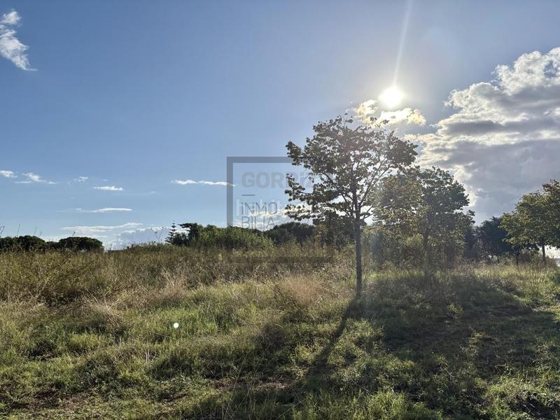 Foto 5d2d58e4-6493-4ce1-91f4-3a9a6d6b8c20. Terreny residencial a carrer de la indústria 50 a Sant Andreu de Llavaneres