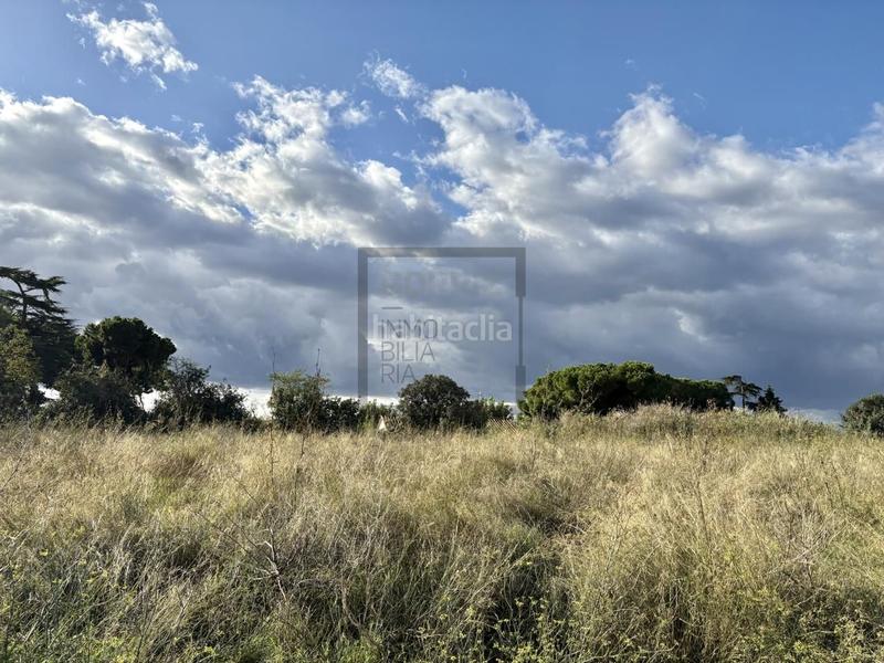 Foto 95b60dc4-5984-4cbc-83c5-6bcb852c29fb. Terreny residencial a carrer de la indústria 50 a Sant Andreu de Llavaneres