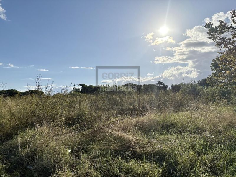 Foto ca233c06-edca-4f60-9175-d3a00b82cbaa. Terreny residencial a Can Sans Sant Andreu de Llavaneres