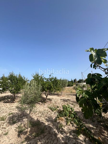 Foto f1626d38-6f21-4751-ab04-cedccc3ed1c7. Finca rústica a Campello Pueblo Campello (el)