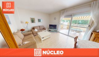 Casa  Carrer de muro. ¡bungalow adosado de 3 plantas con terrazas, piscina, garaje y t