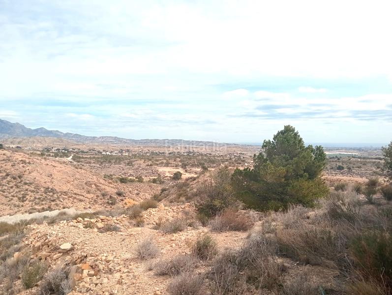 Foto 265b2963-aa0f-477a-949d-5338c2209a41. Masía en Valle del Sol Mutxamel
